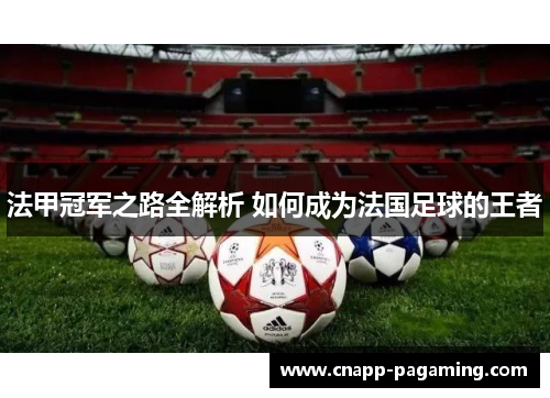 法甲冠军之路全解析 如何成为法国足球的王者